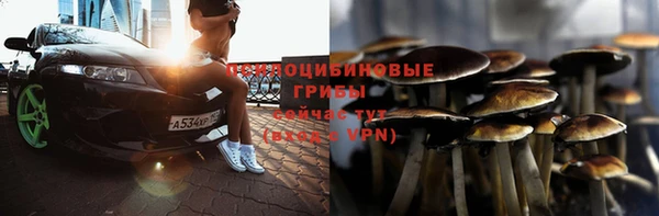 кокс Белокуриха
