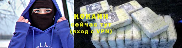 кокс Белокуриха