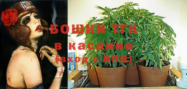 ALPHA PVP Беломорск