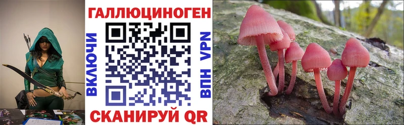 Купить где  Котлас  Псилоцибиновые грибы GOLDEN TEACHER 